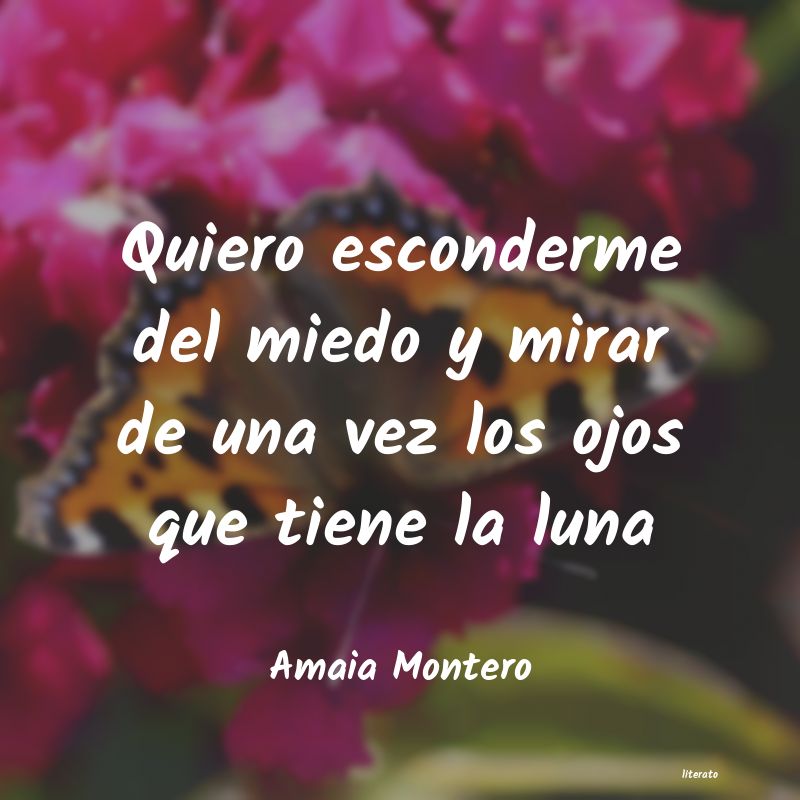 Frases de Amaia Montero