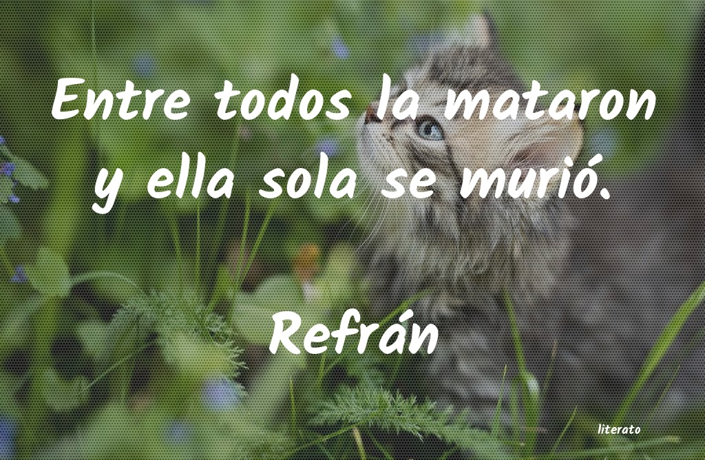 Frases de Refrán