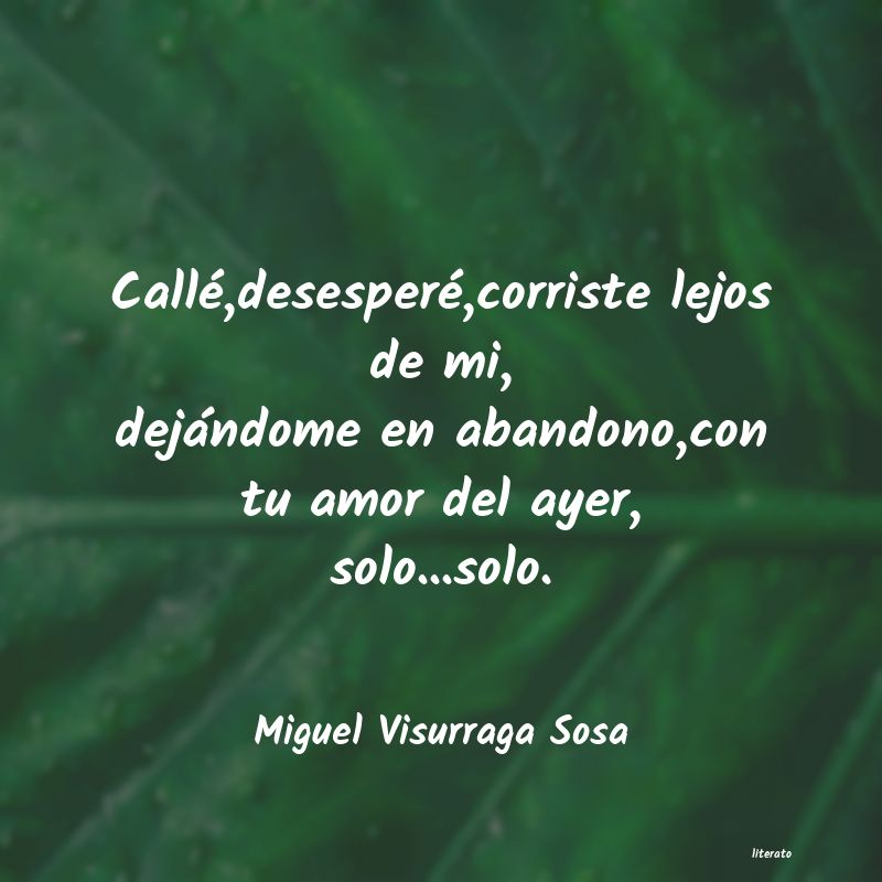 Frases de Miguel Visurraga Sosa