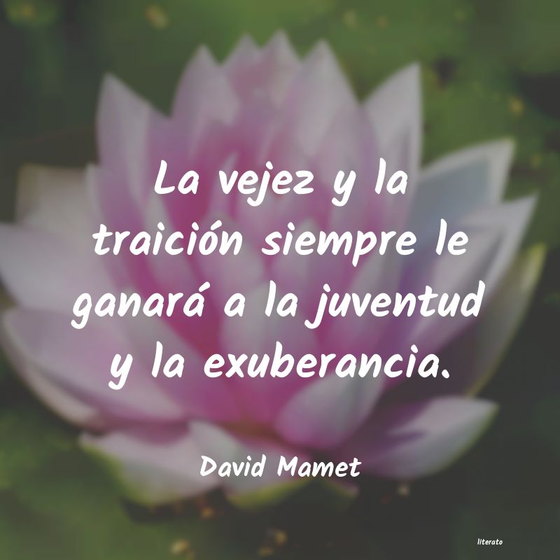 Frases de David Mamet