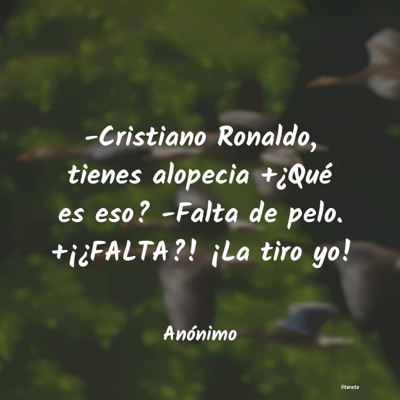 frases