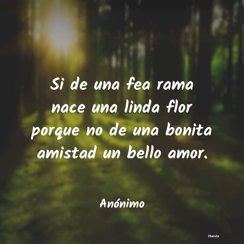 frases