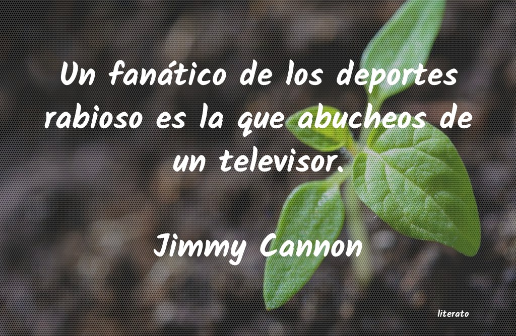 Frases de Jimmy Cannon