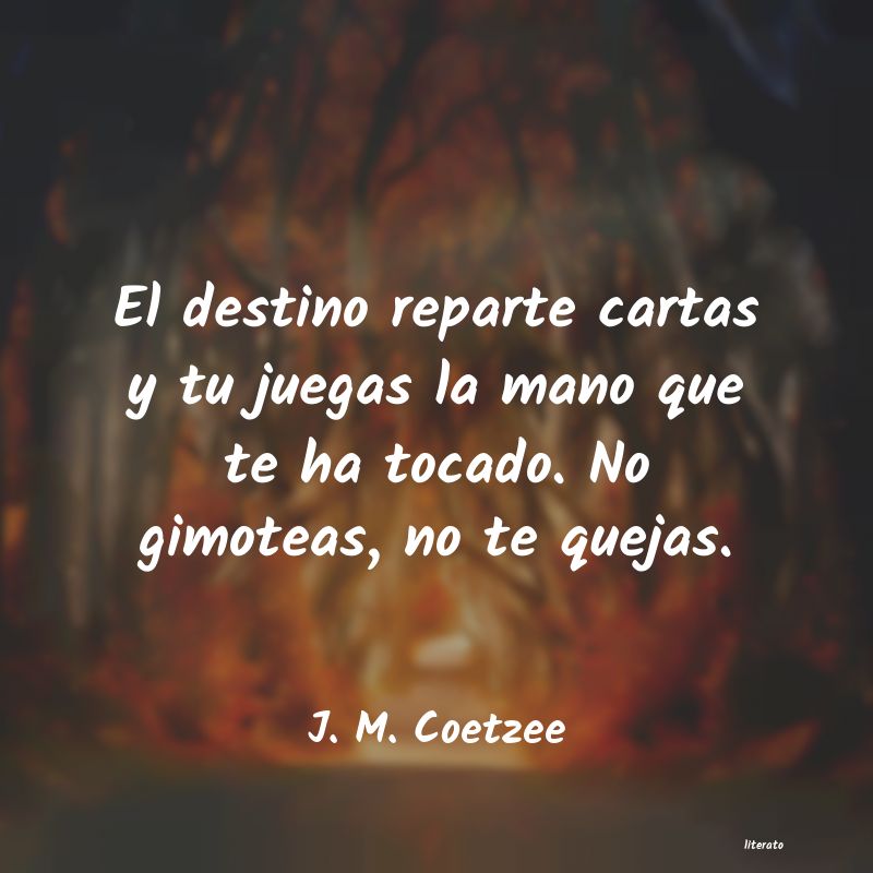 Frases de J. M. Coetzee