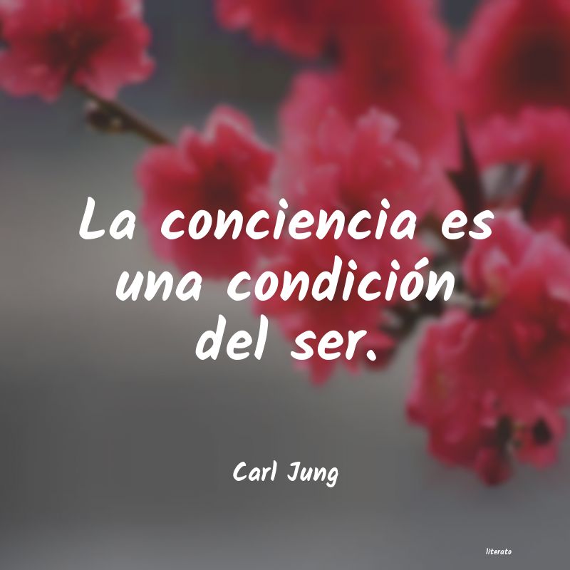 carl jung sentido