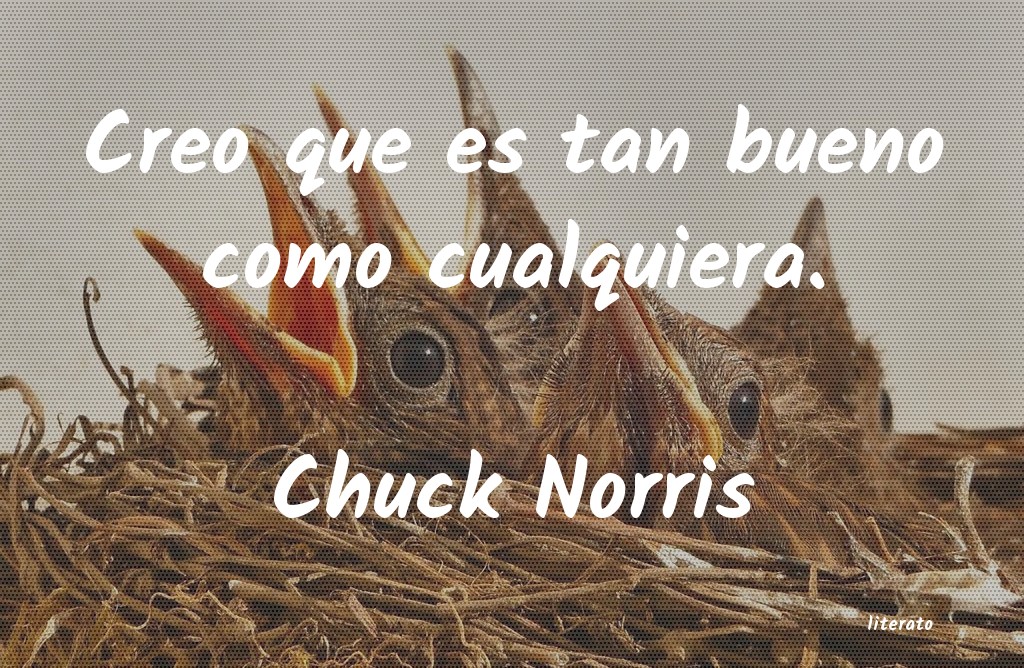 Frases de Chuck Norris