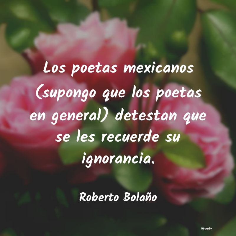 Frases de Roberto Bolaño