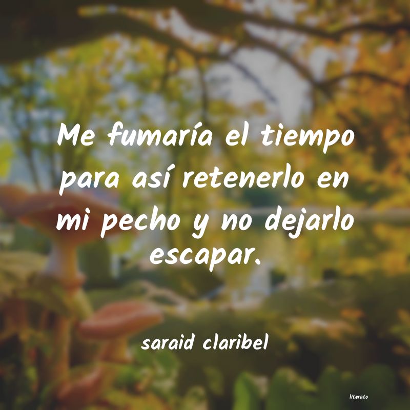frases de saraid claribel
