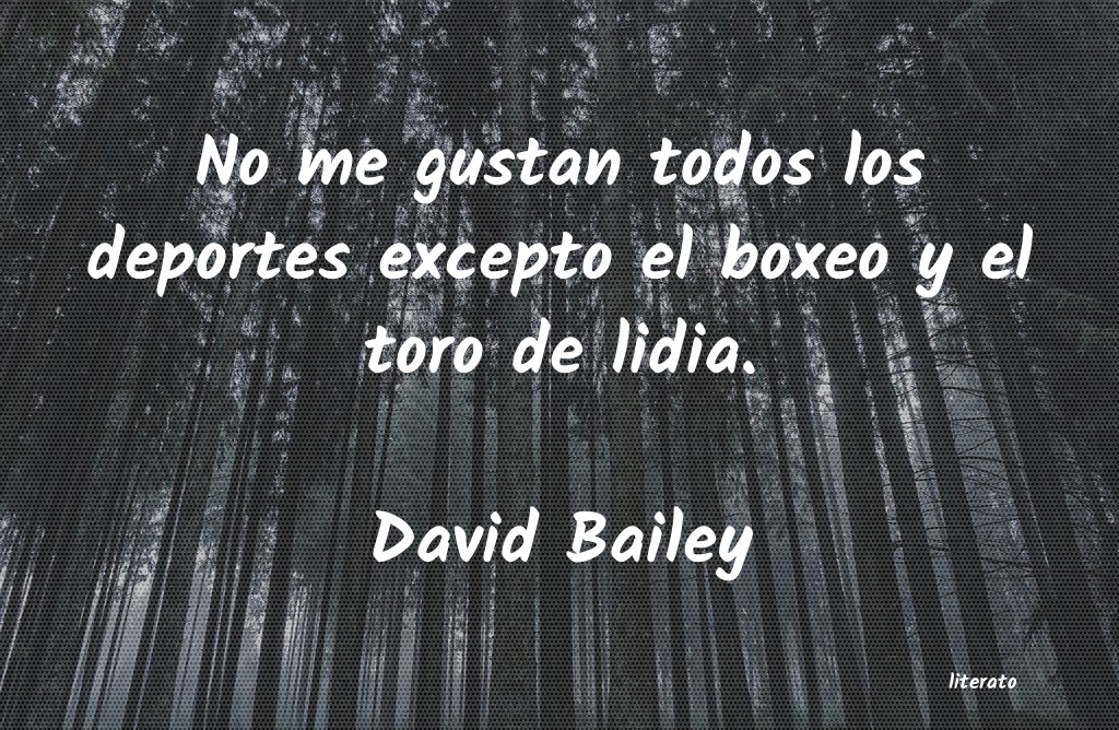 frases de David Bailey