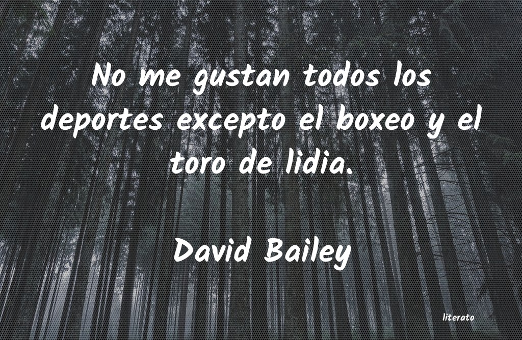 Frases de David Bailey