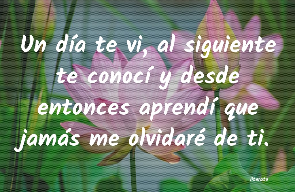 frases