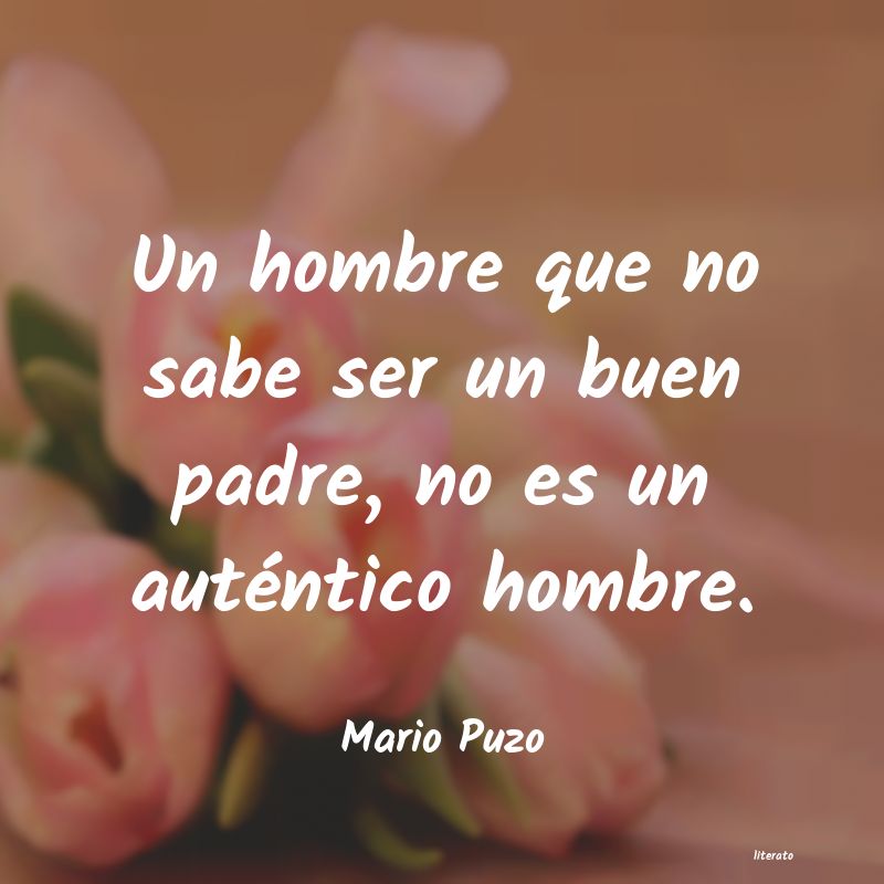 Frases de Mario Puzo