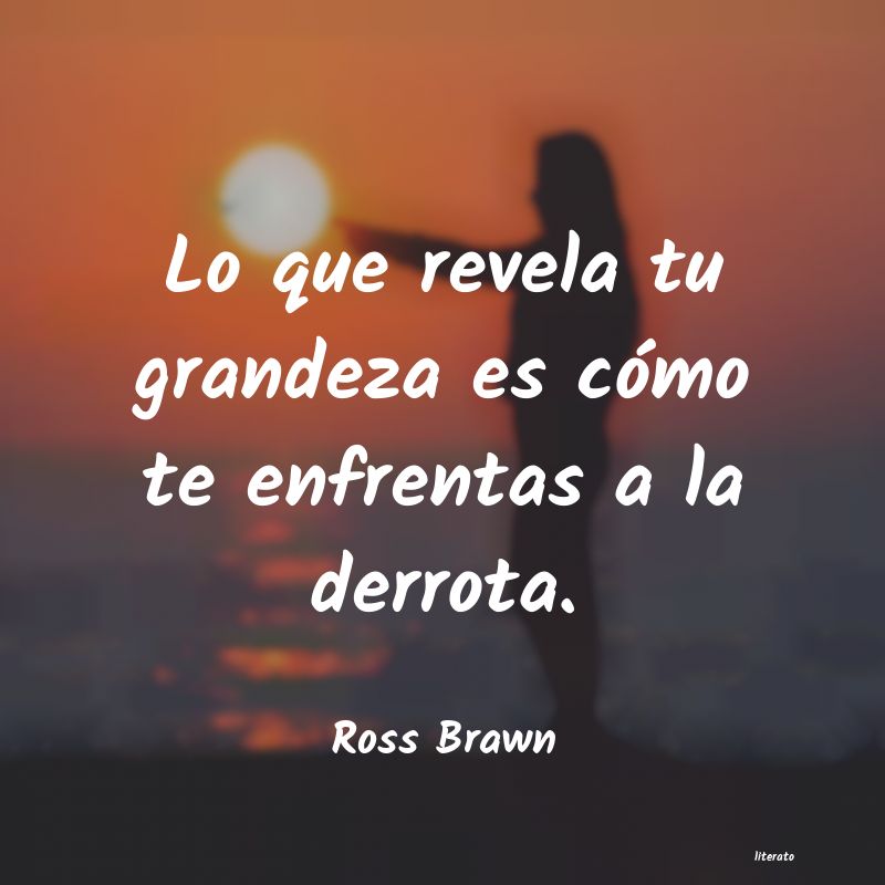 Frases de Ross Brawn