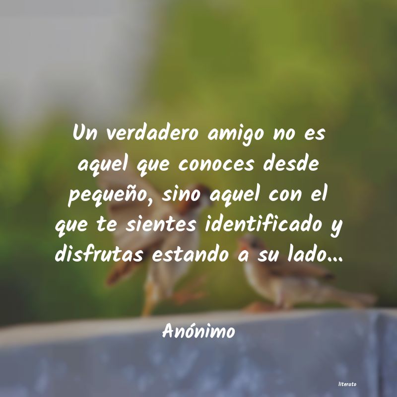 frases