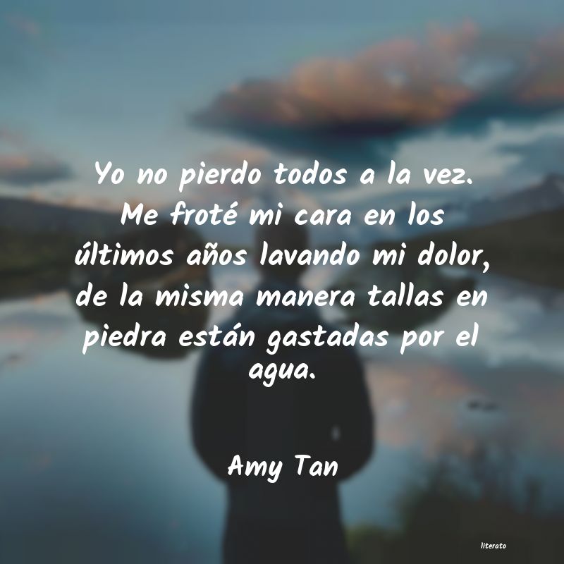 Frases de Amy Tan