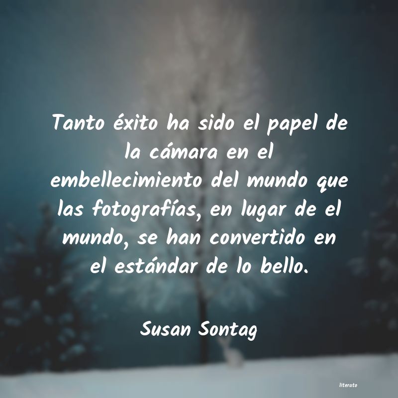 Frases de Susan Sontag