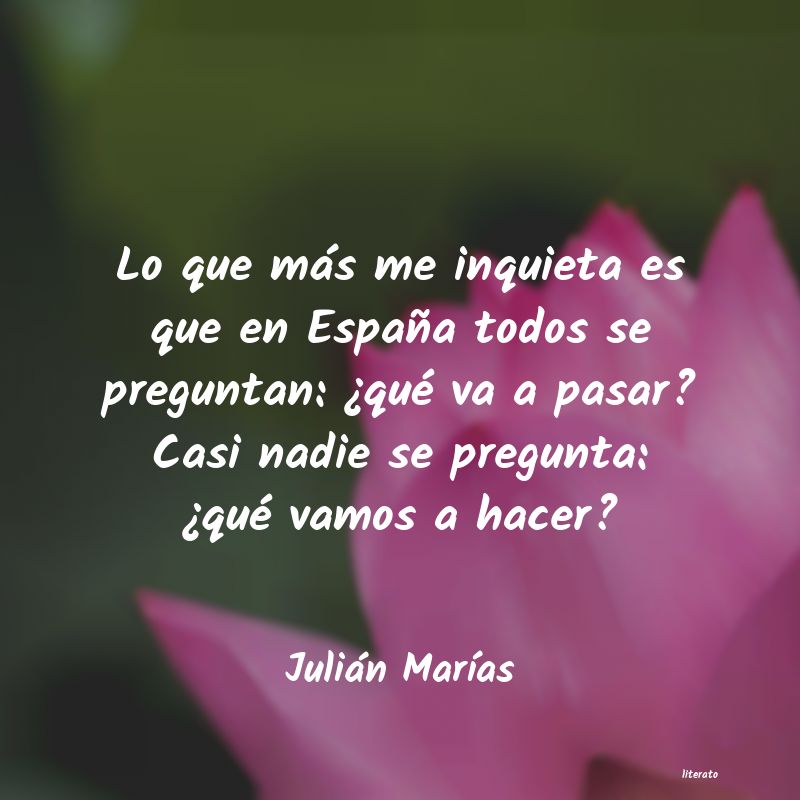 frases de Julián MarÃas