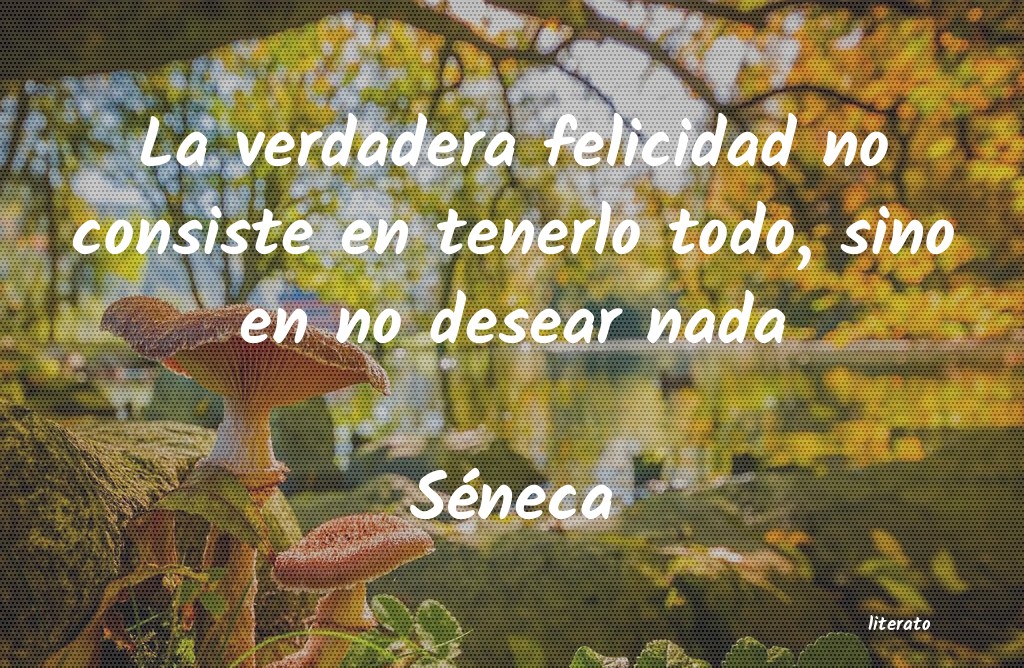 frases para desear un bello dia