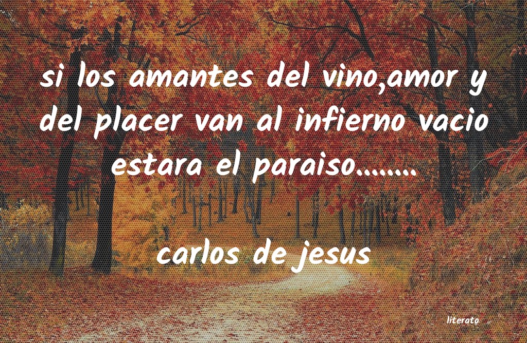 Frases de carlos de jesus