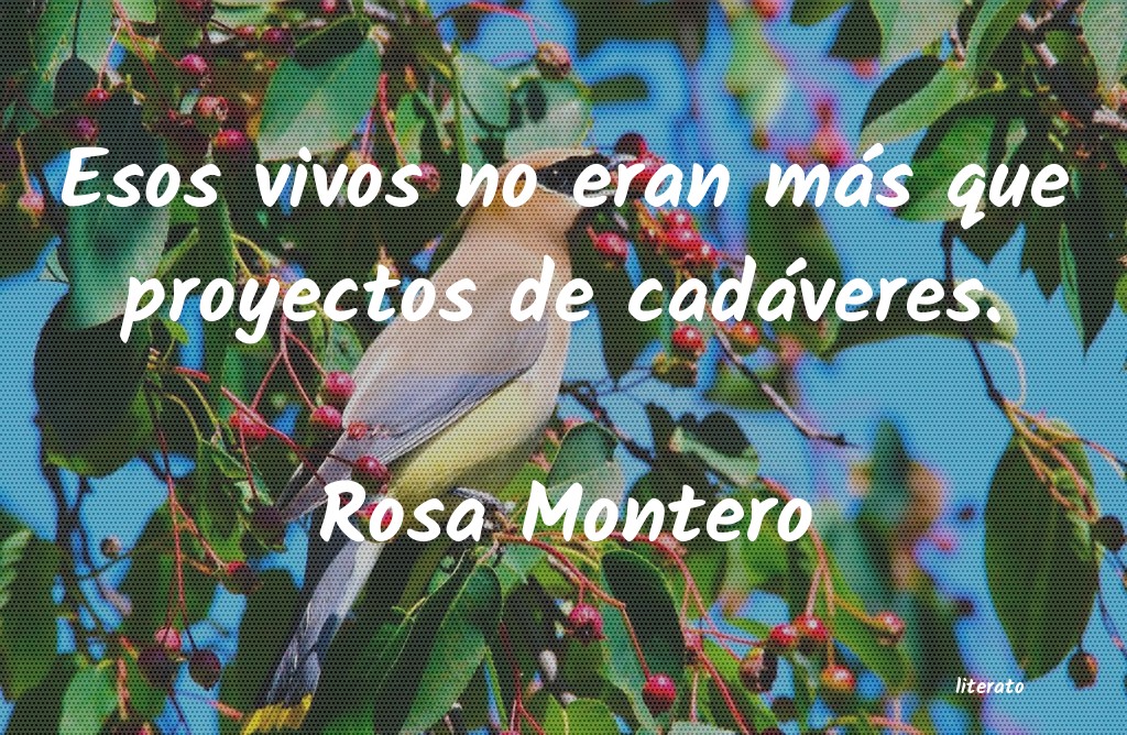 Frases de Rosa Montero