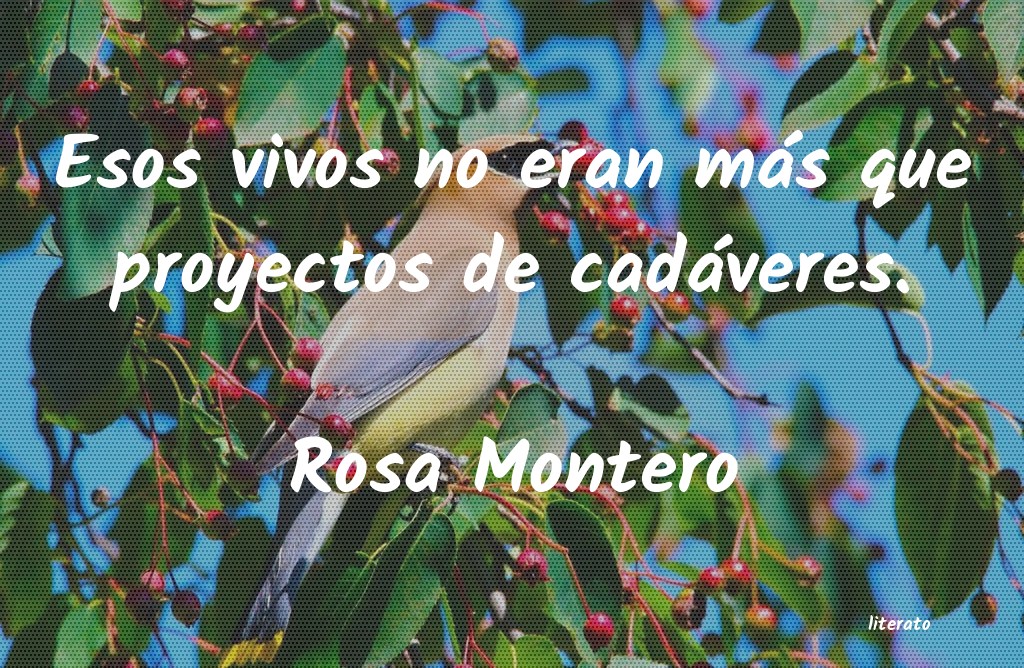 frases de Rosa Montero