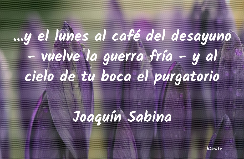 frases de JoaquÃn Sabina