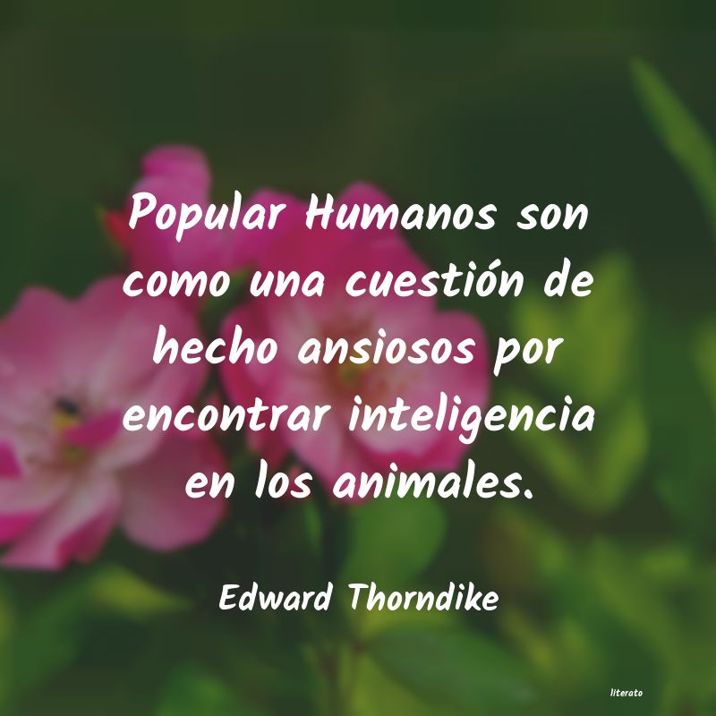 Frases de Edward Thorndike