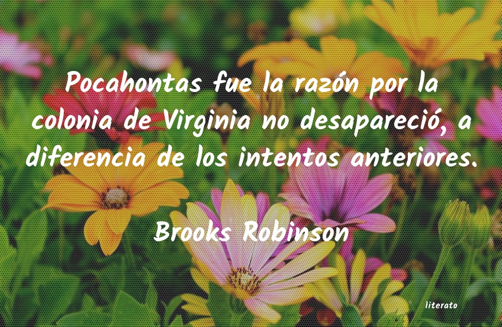 Frases de Brooks Robinson