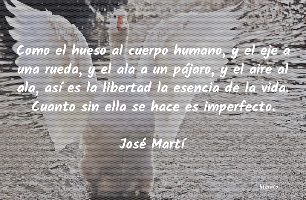 Frases de José Martí