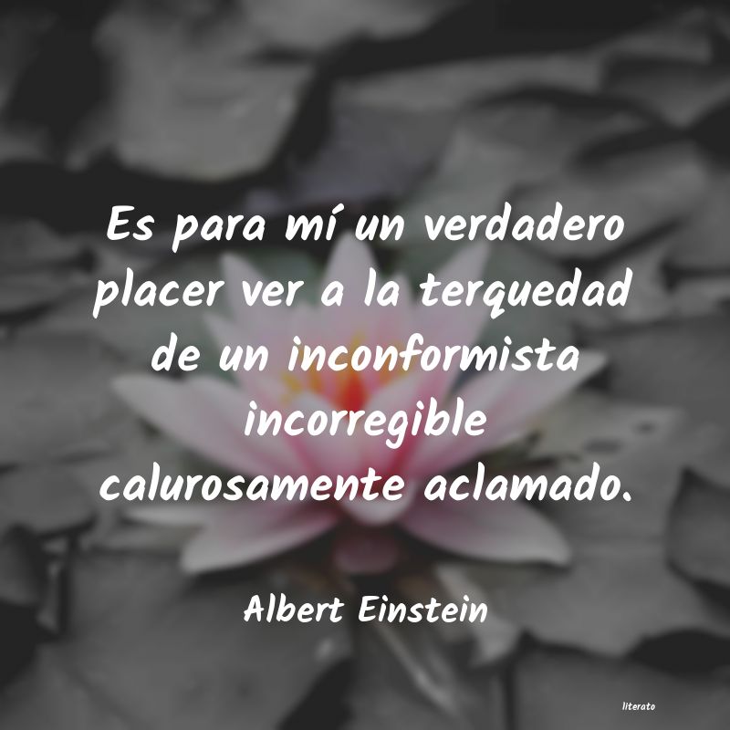 frases de Albert Einstein