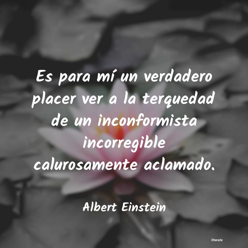 Frases de Albert Einstein