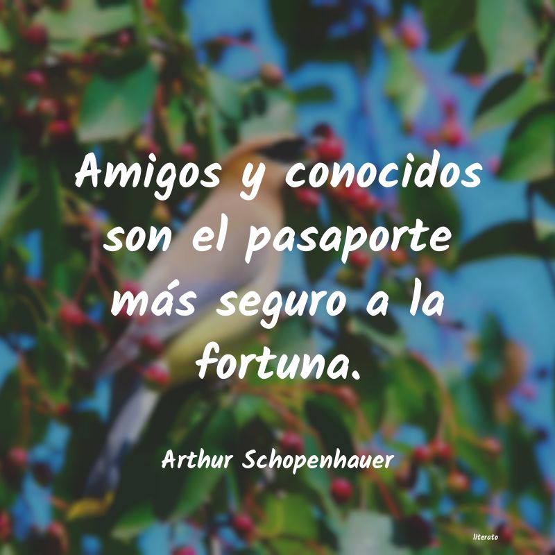 Frases de Arthur Schopenhauer