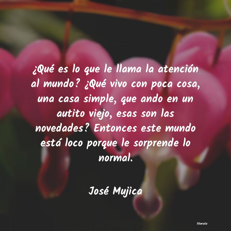 Frases de José Mujica