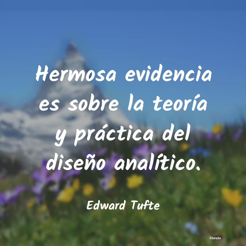 Frases de Edward Tufte