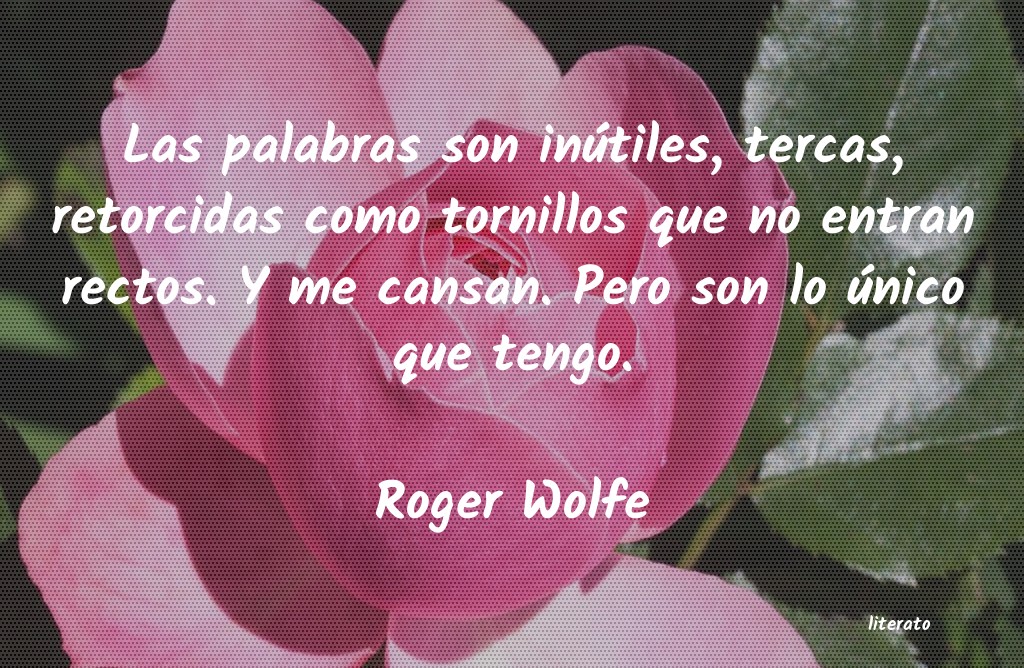 Frases de Roger Wolfe