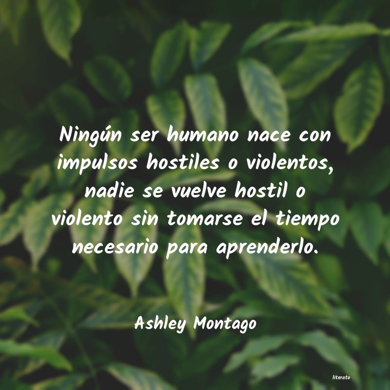 Frases de Ashley Montago