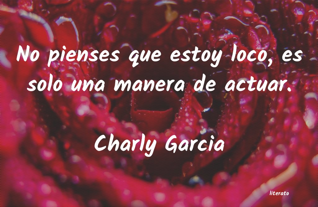 Frases de Charly Garcia
