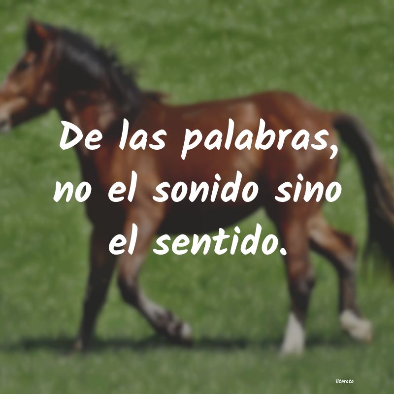 frases