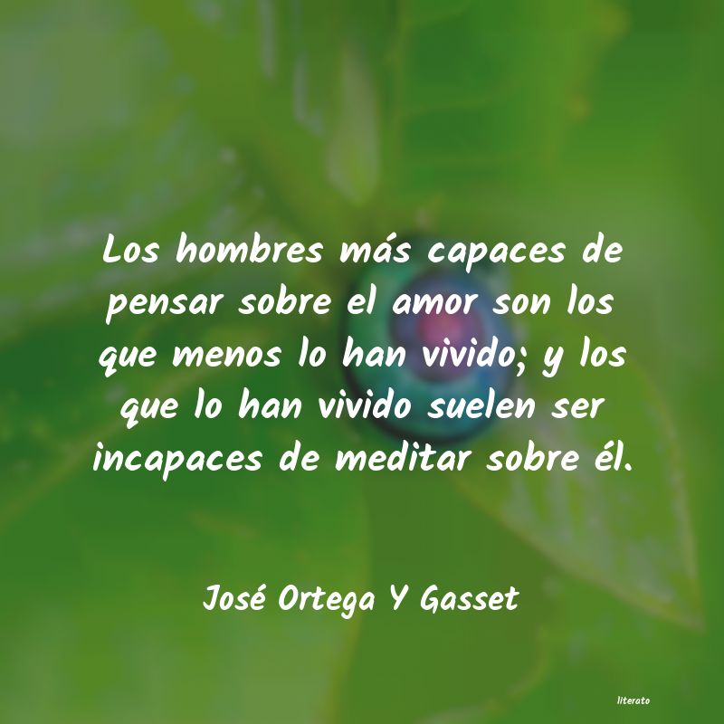 frases de vivido