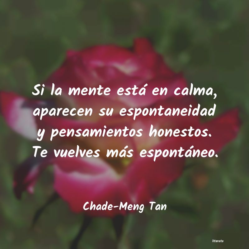 Frases de Chade-Meng Tan