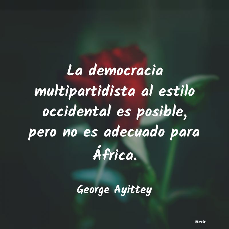 Frases de George Ayittey