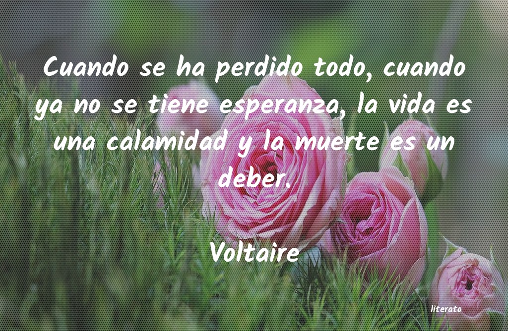 Frases de Voltaire