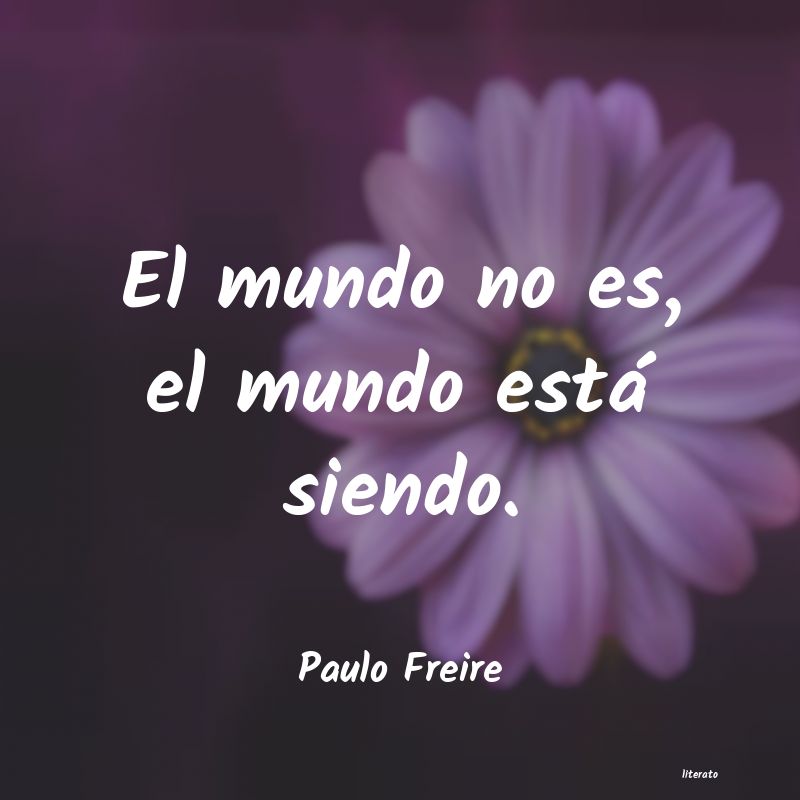 Frases de Paulo Freire