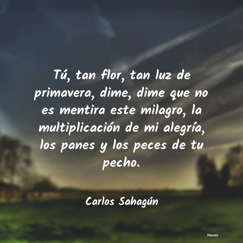 Frases de Carlos Sahagún