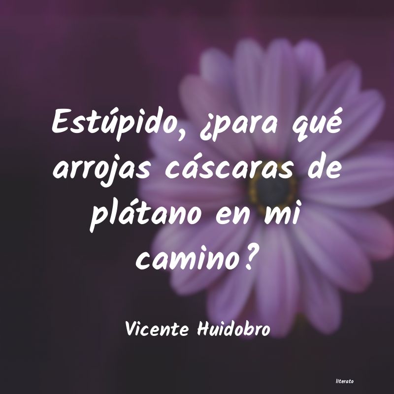 Frases de Vicente Huidobro