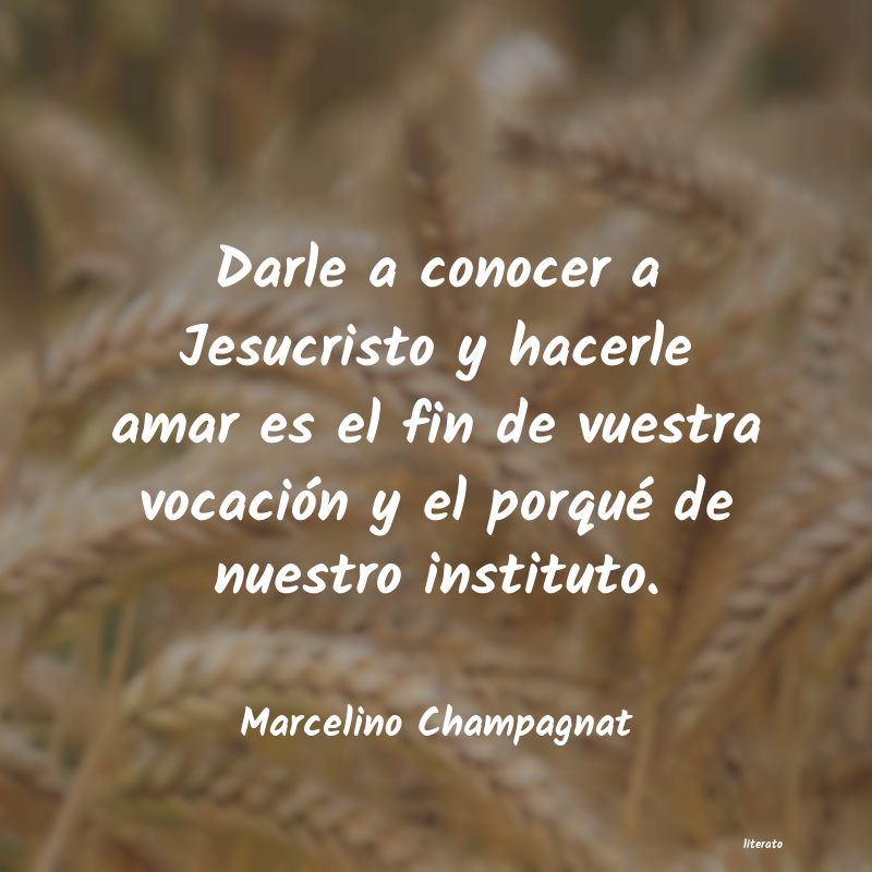 querer conocer