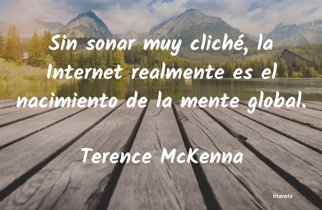 frases de Terence McKenna