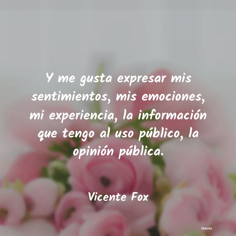 Frases de Vicente Fox