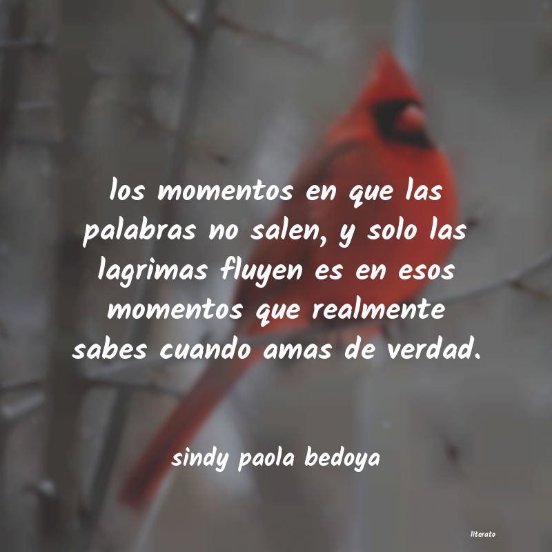 frases de sindy paola bedoya