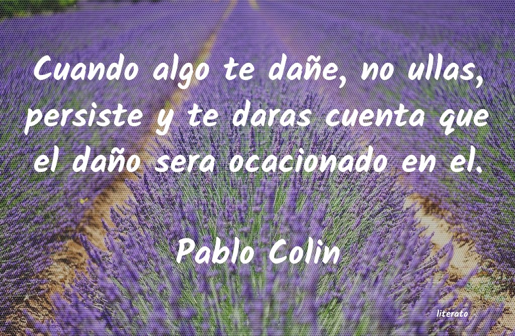 Frases de Pablo Colin